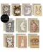 Pack of 10 cards+envelope - studioloco