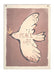 Organic Cotton/Canvas wallhanging/peacebird 100X70CM - studioloco